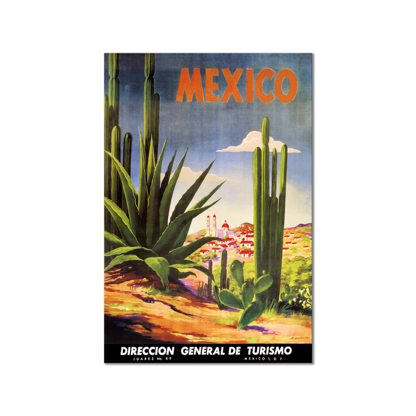 Mexico Cacti
