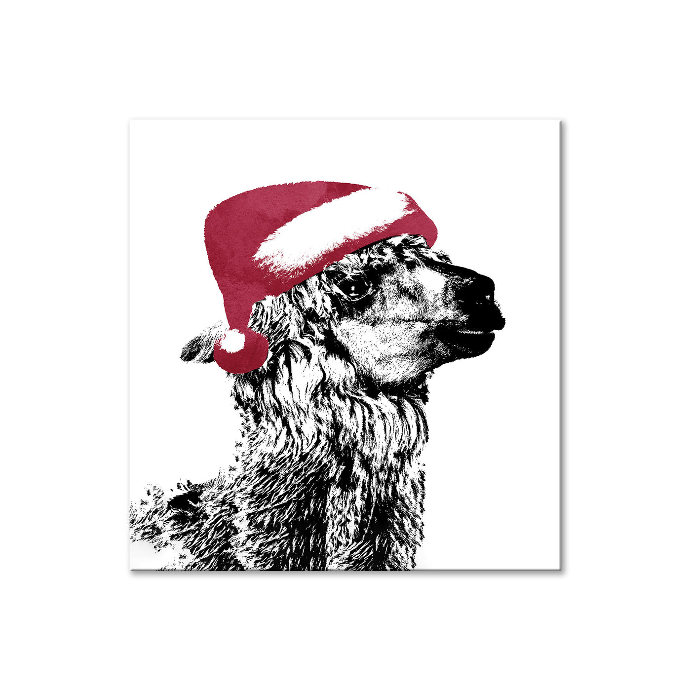 Alpaca Santa