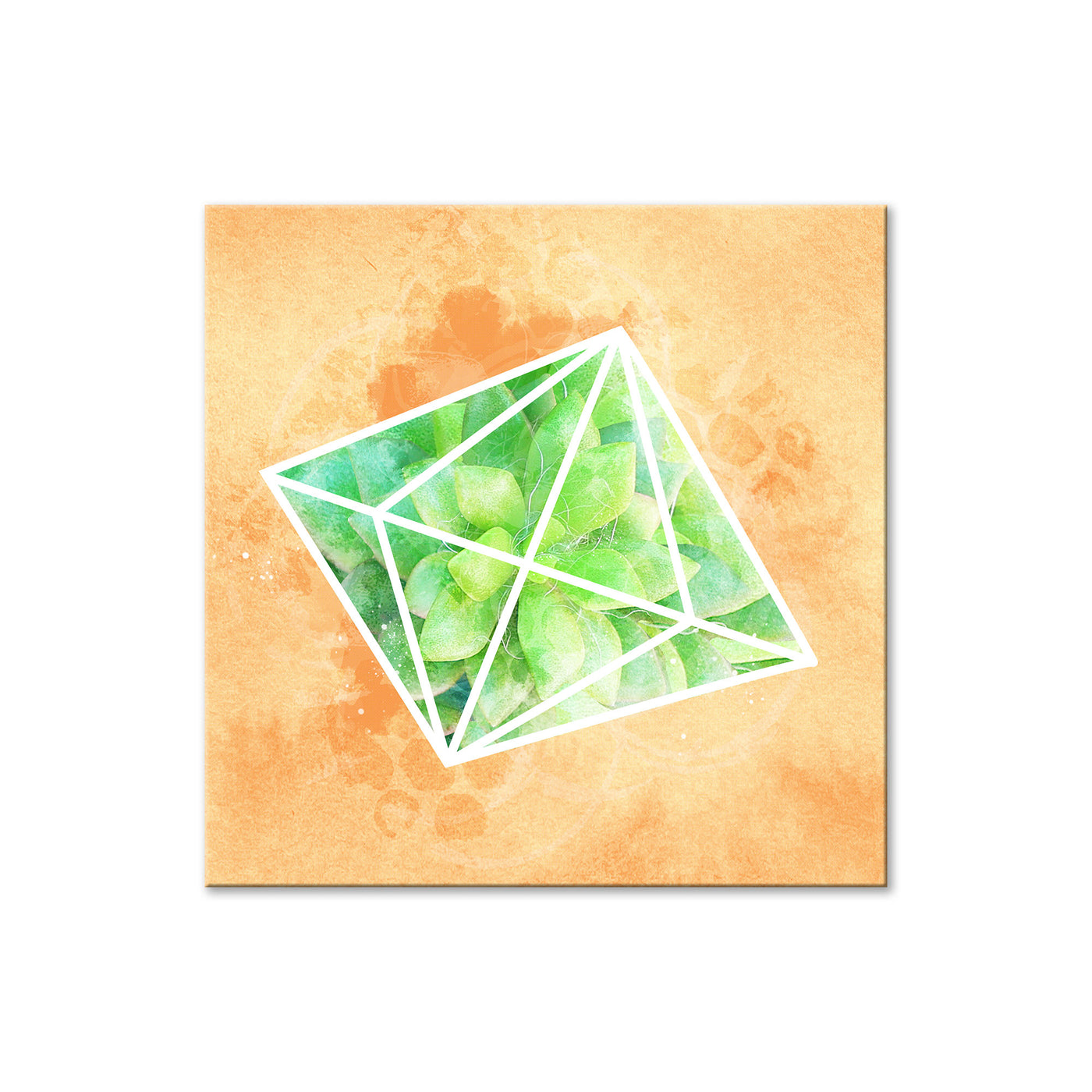 Crystal Terrarium