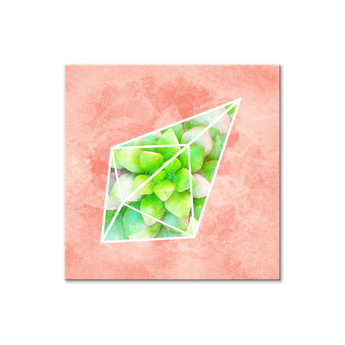 Crystal Terrarium II