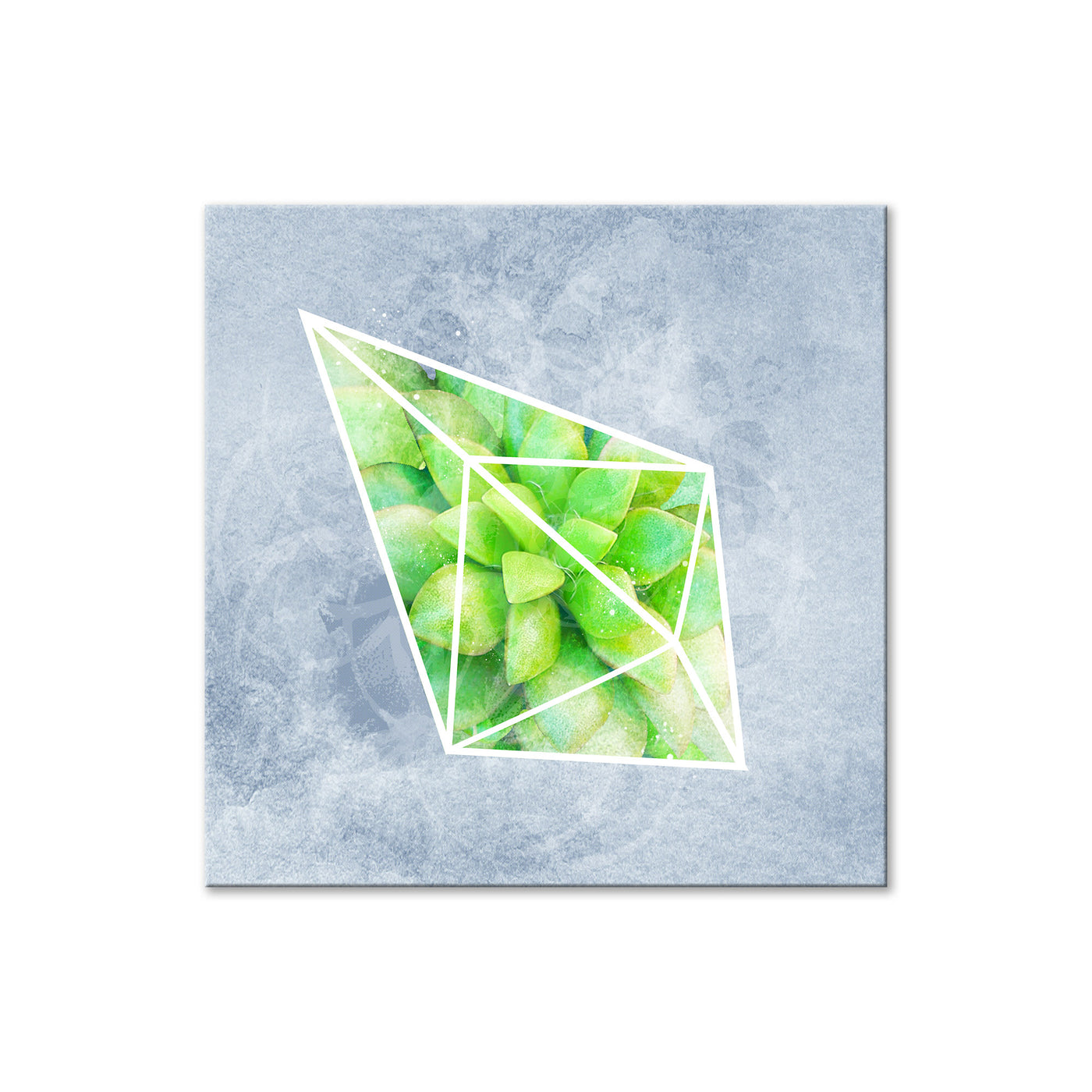 Crystal Terrarium III