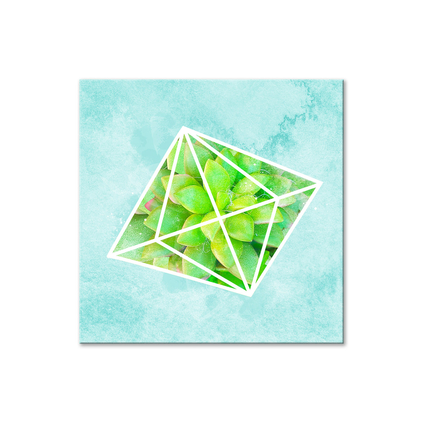 Crystal Terrarium IV