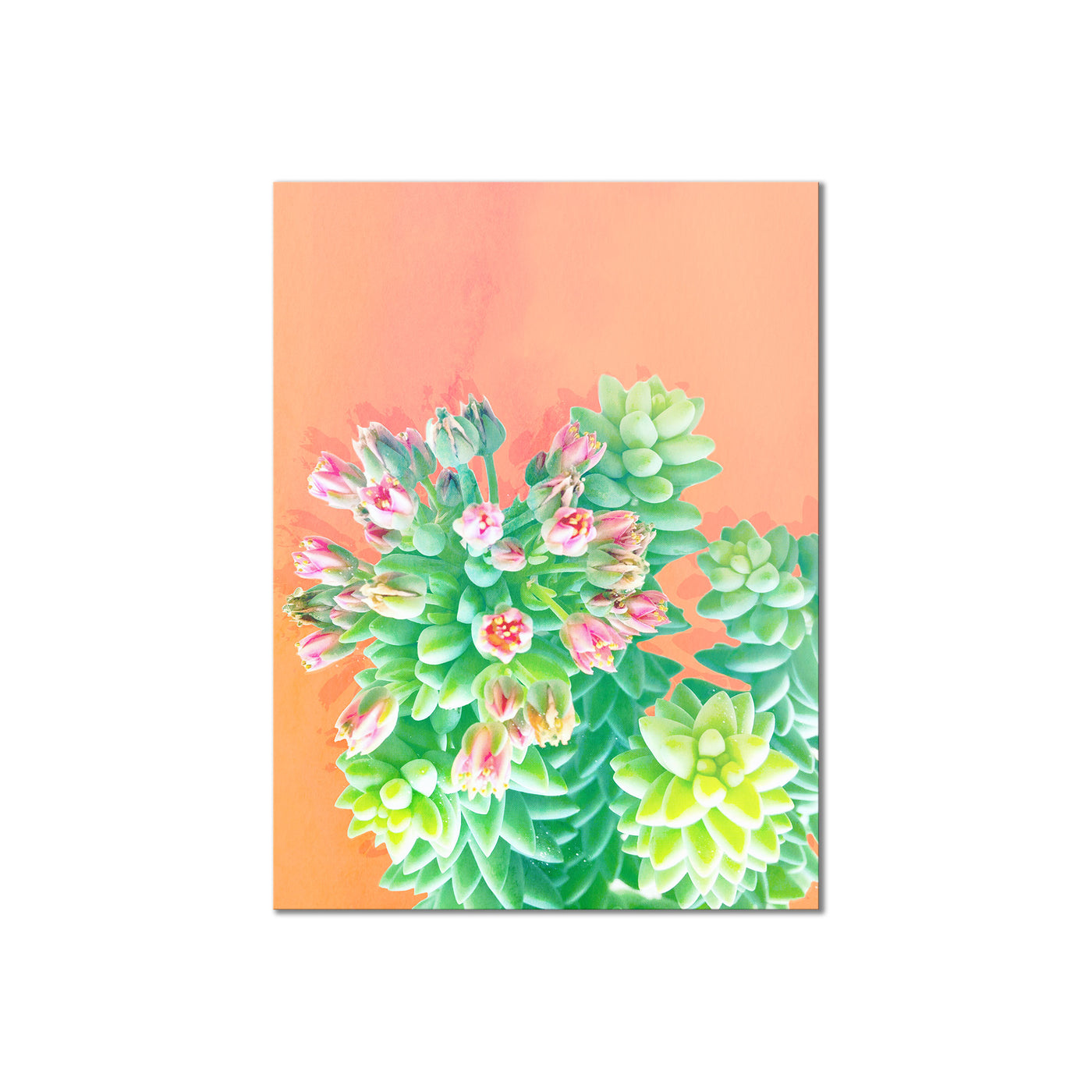 Fresh Growth