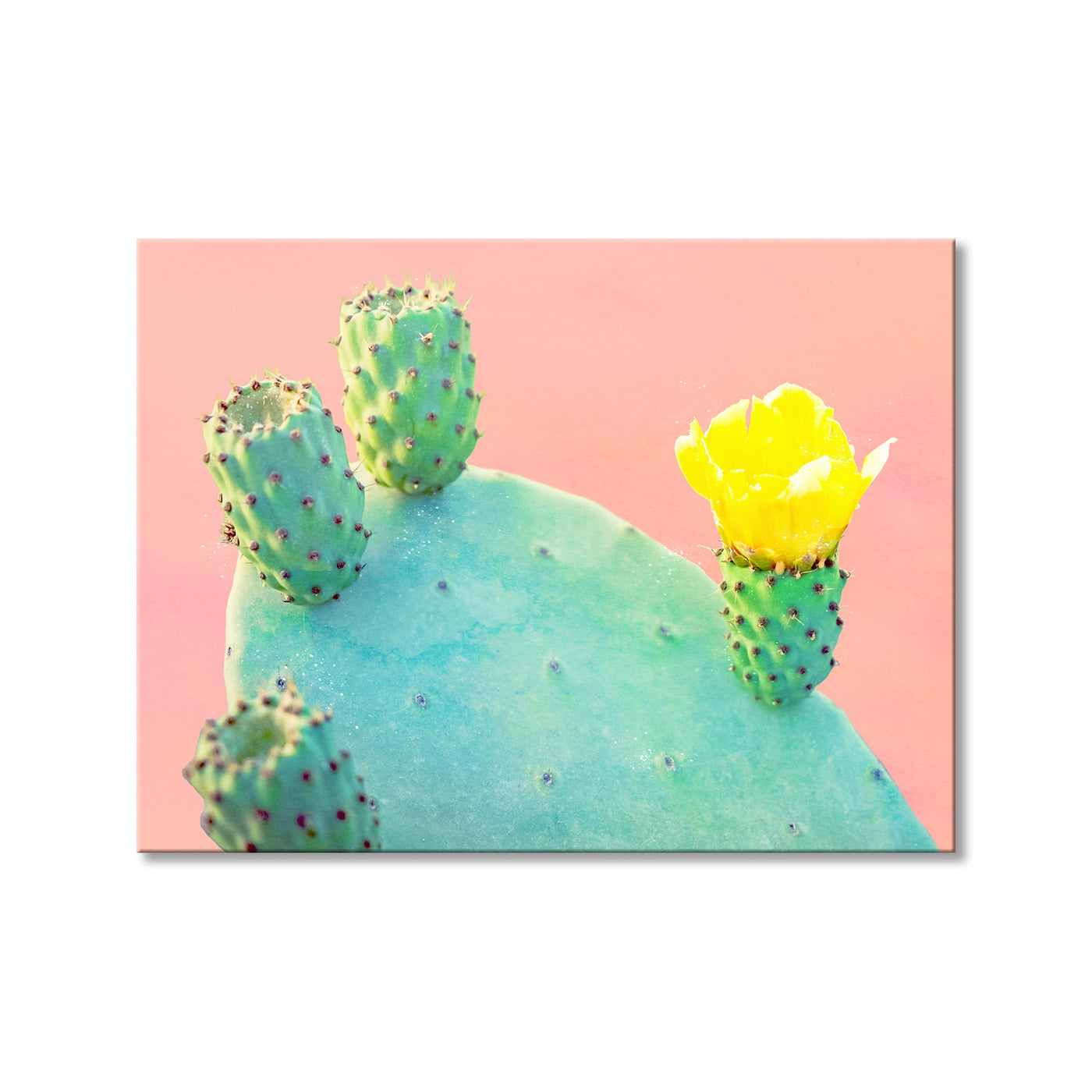 Spike Yellow