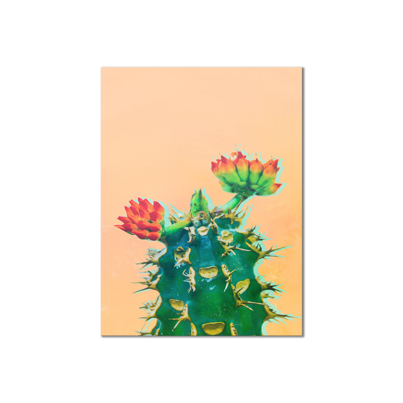 Color Me Cactus