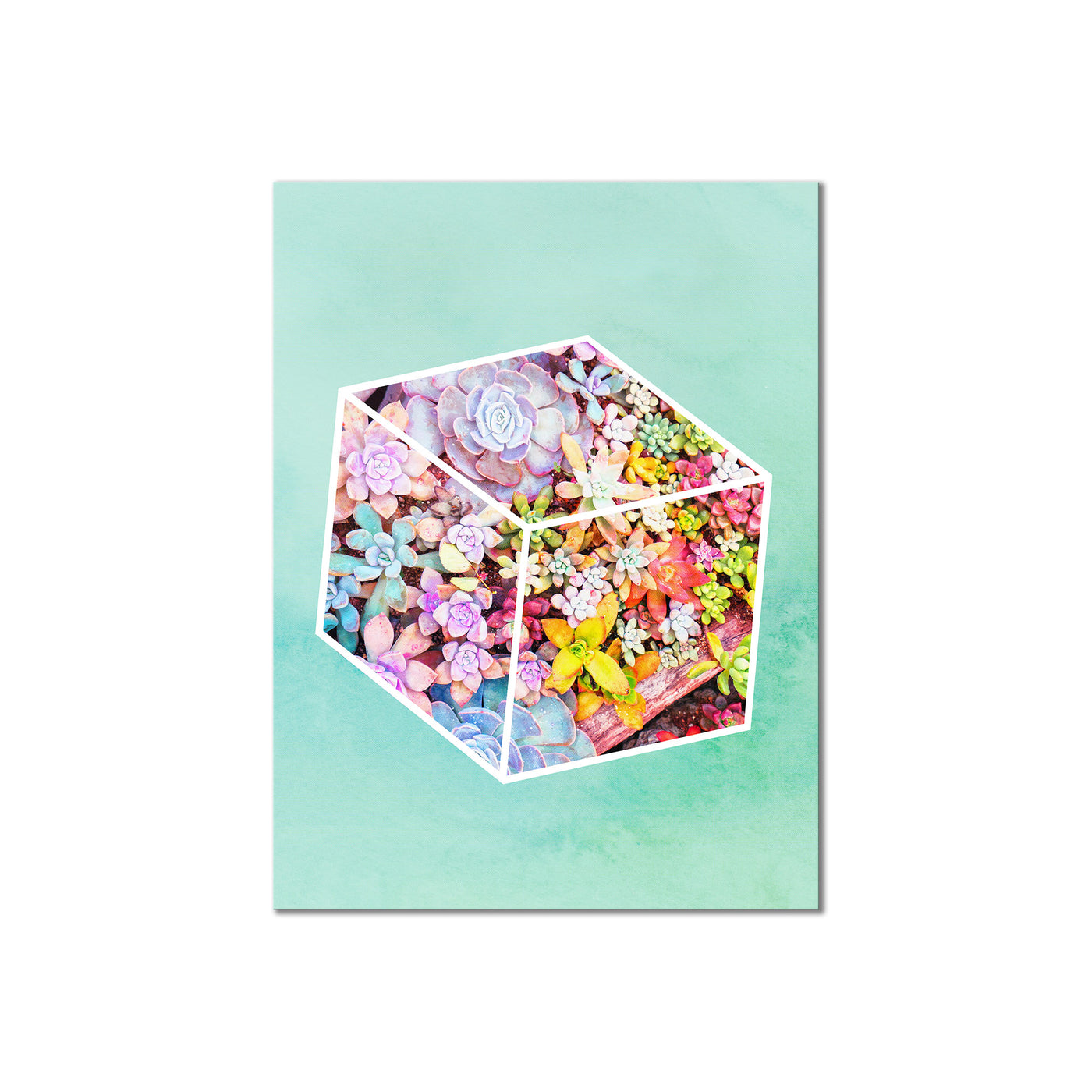 Garden Cube