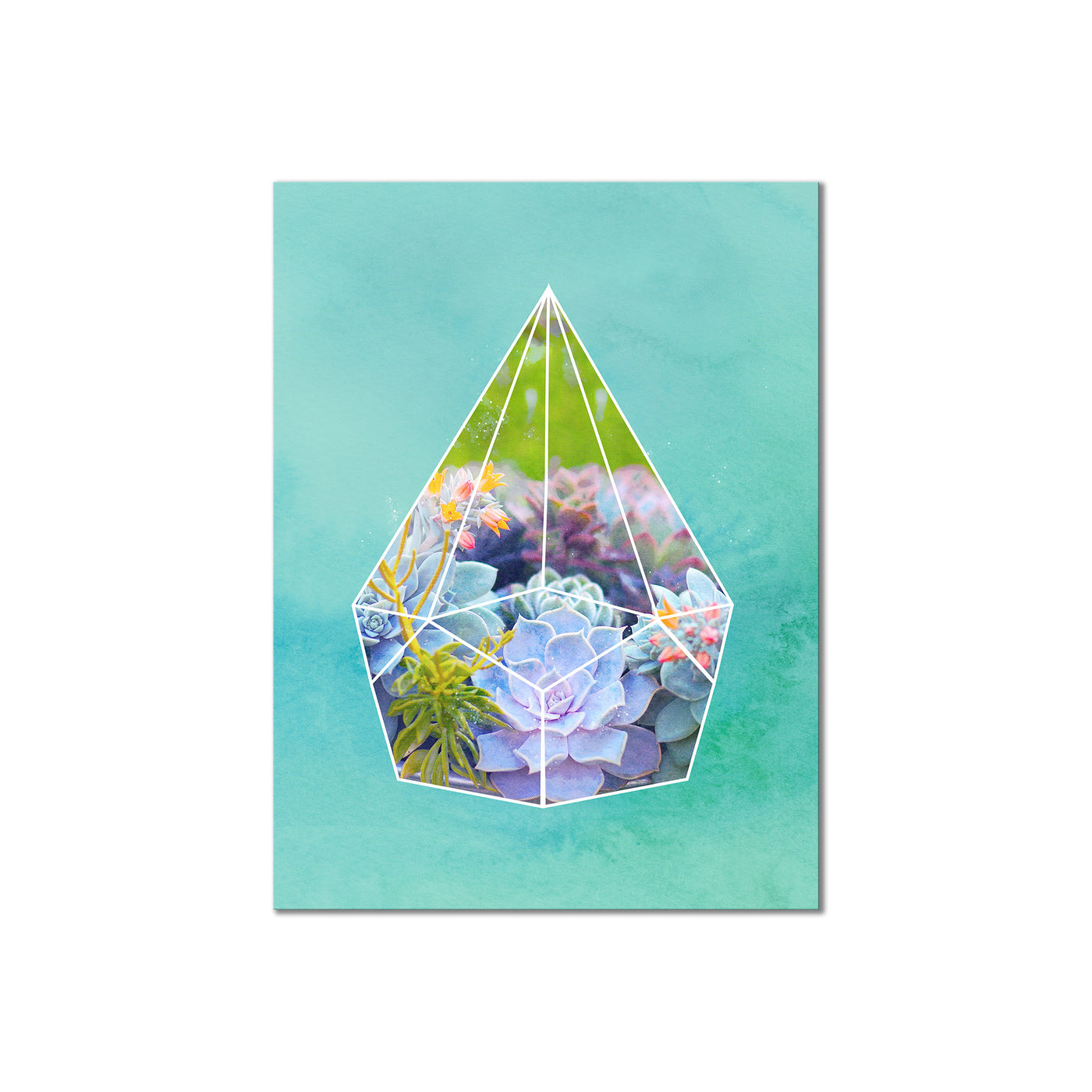 Terrarium Bloom