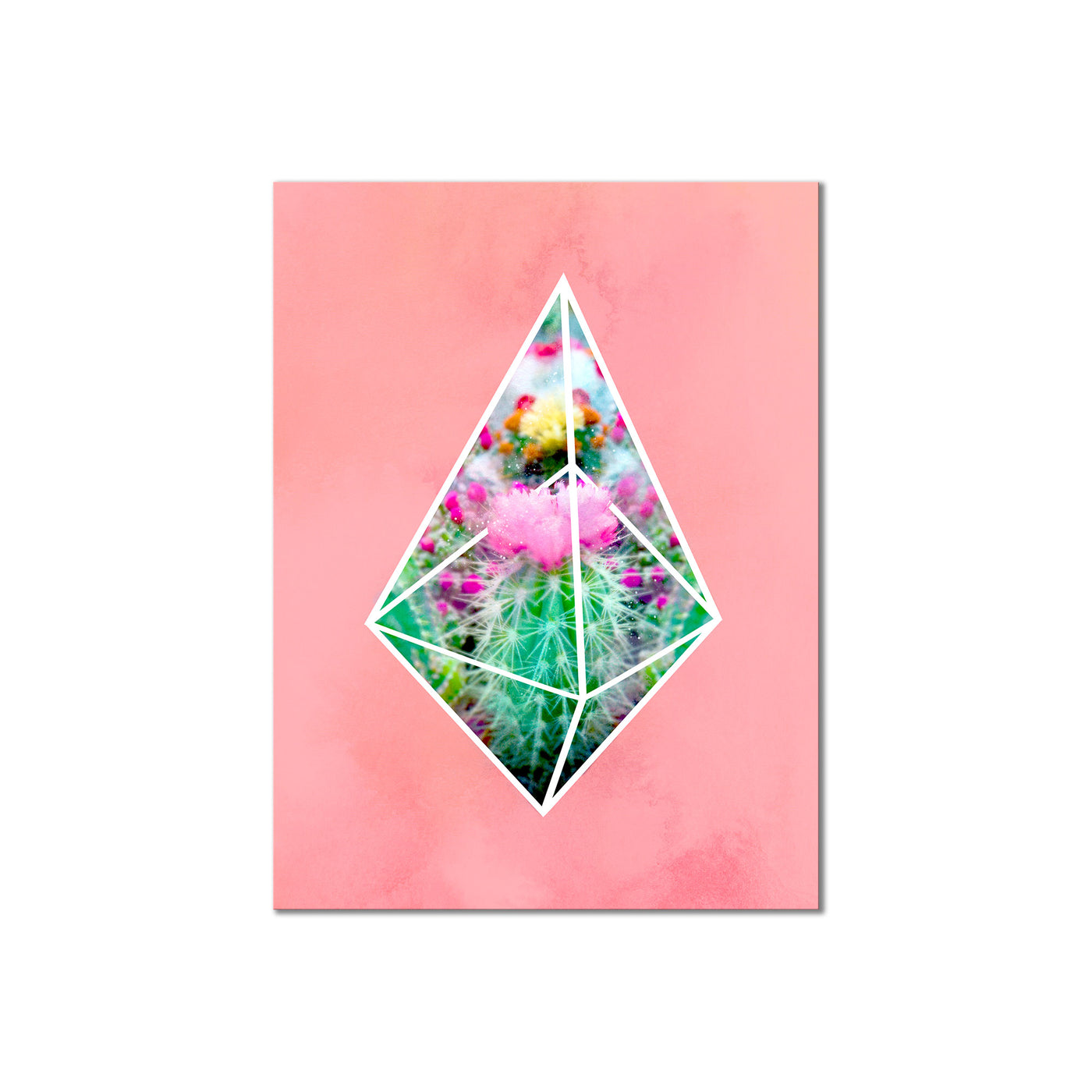 Terrarium Pink