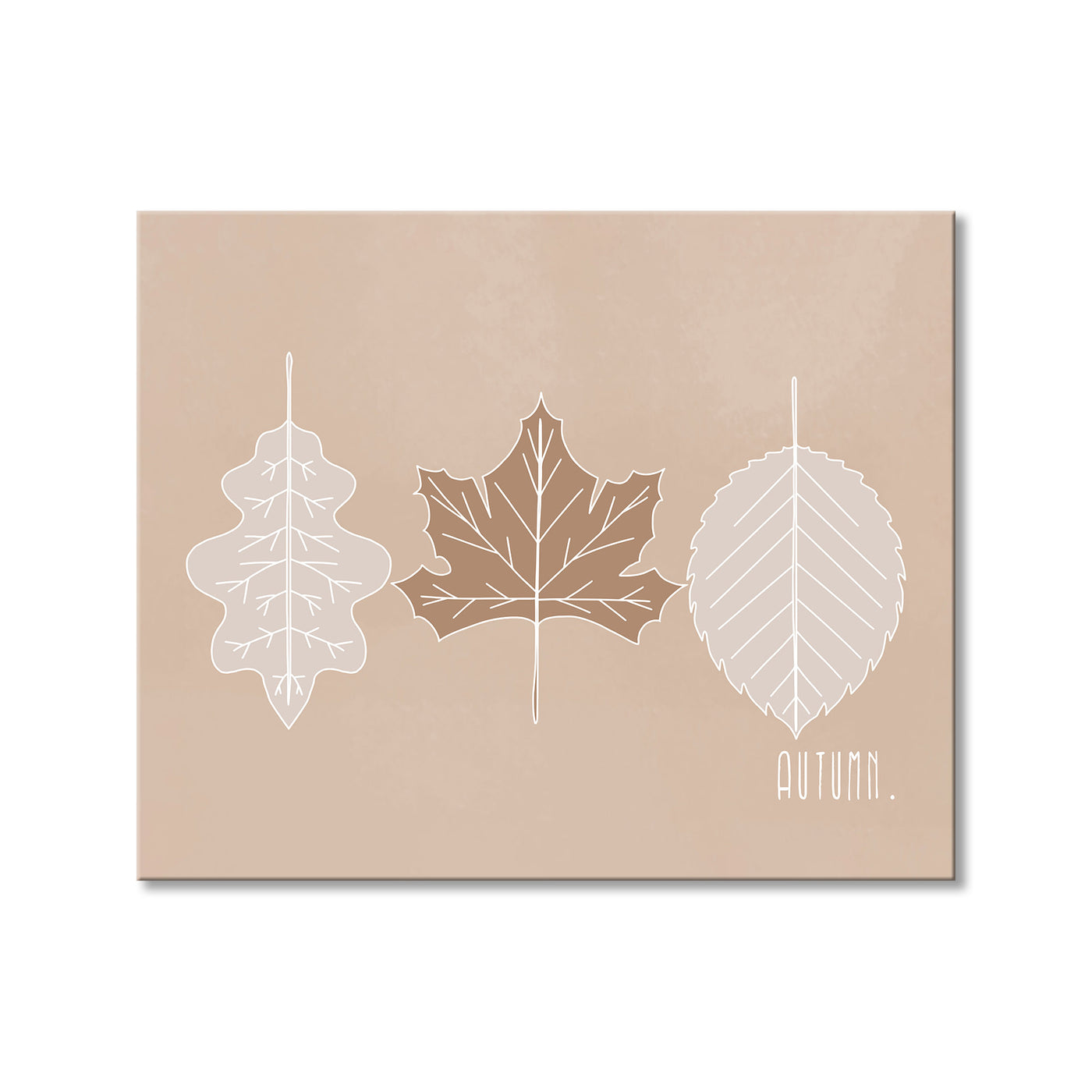 Minimal Leaves