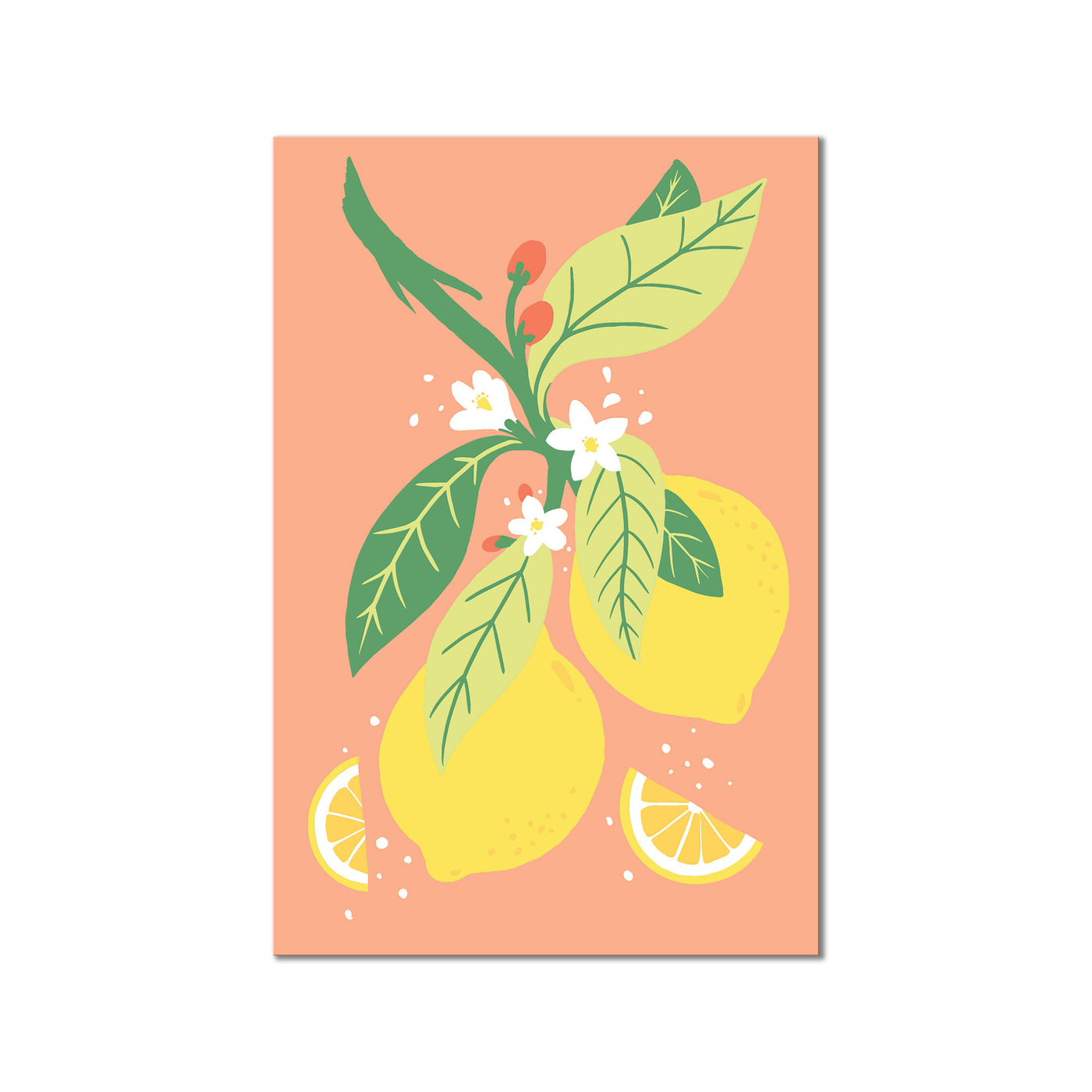 Sorbet's Special I