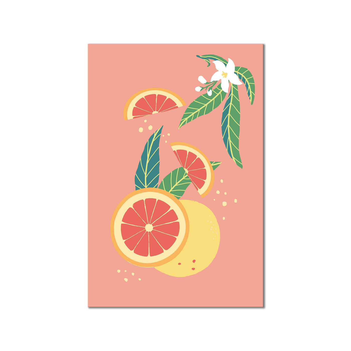 Sorbet's Special III
