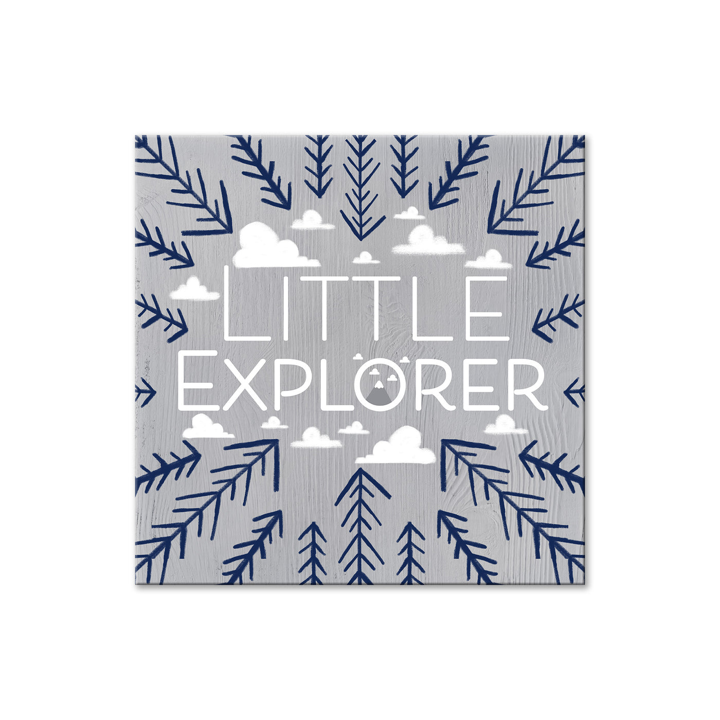 Little Explorer