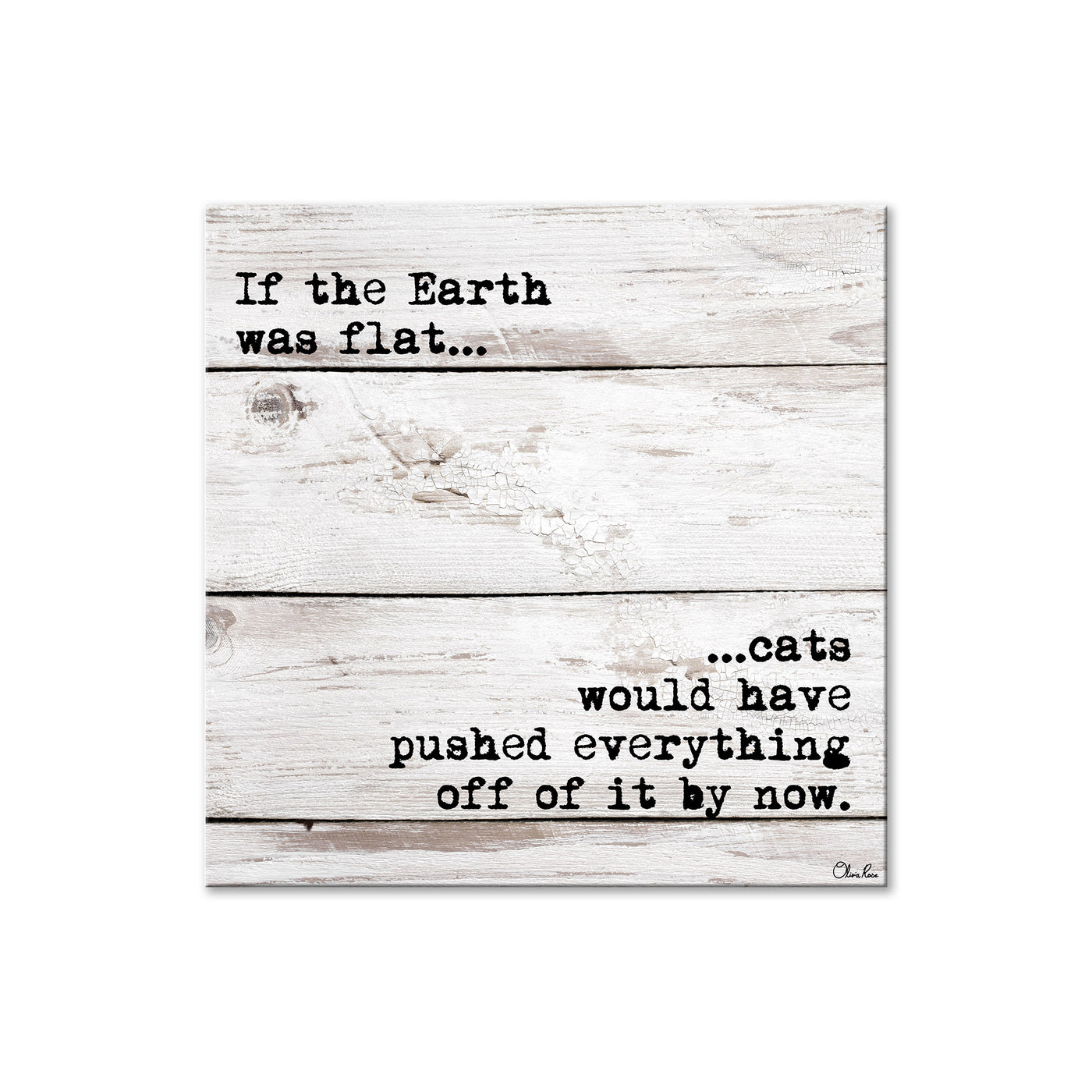 Flat Earth - Cat