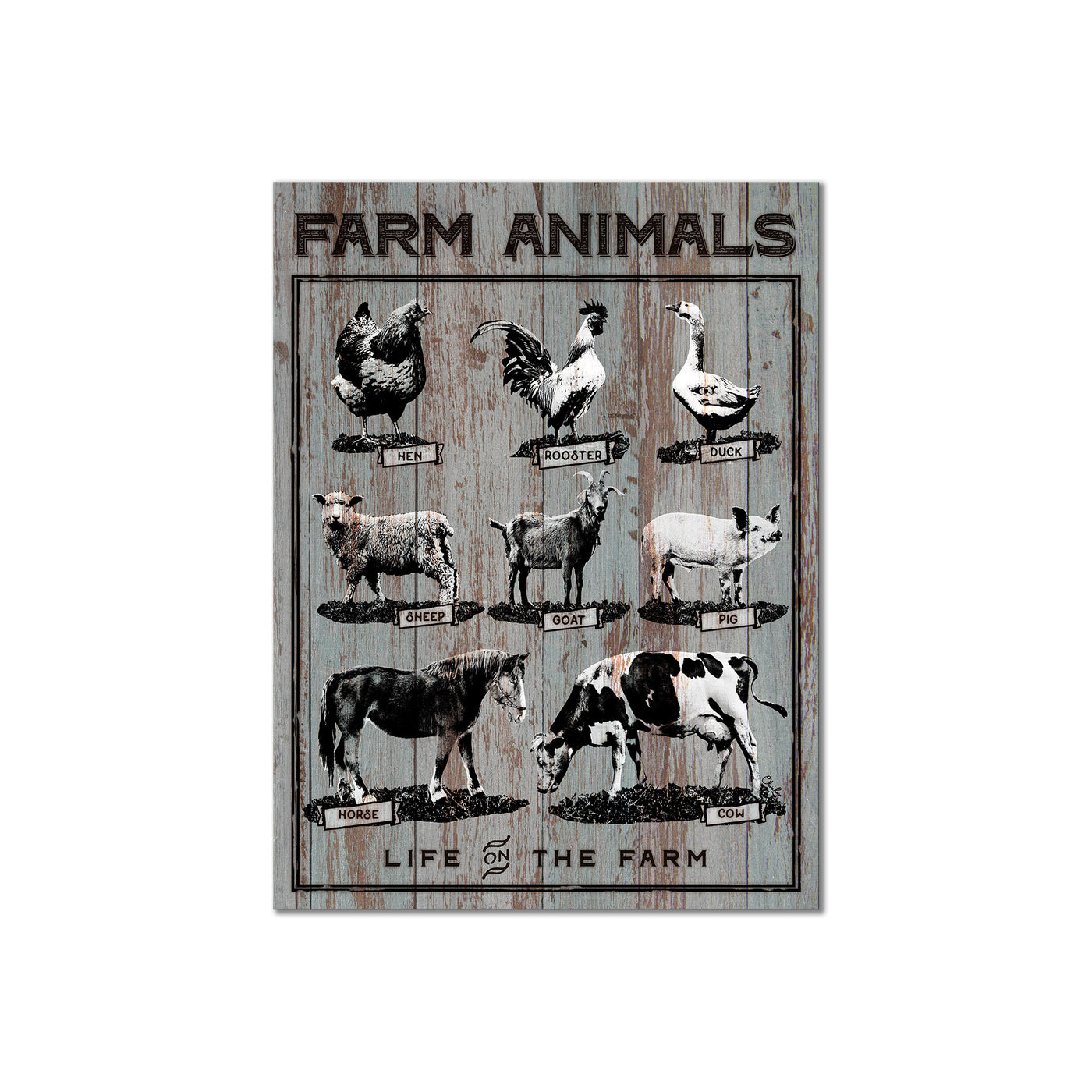 Farm Animals