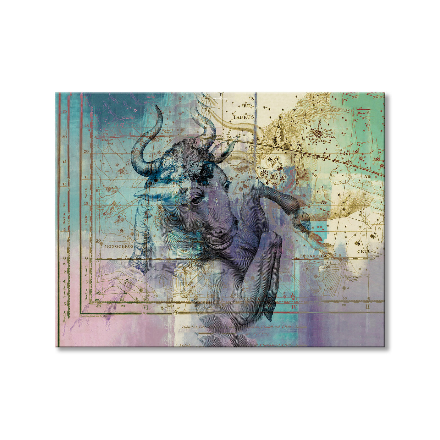 Zodiac Study: Taurus